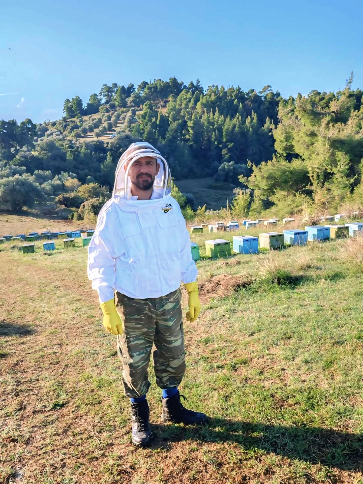 Μελισσοκόμος ελέγχει πλαίσιο με κηρήθρες